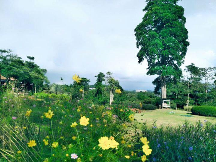 Arayana Phupimarn Resort & Spa Pak Chong Exterior foto